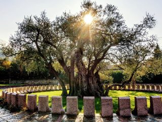 Birbirinden güzel instagram Karadağ fotoğrafları