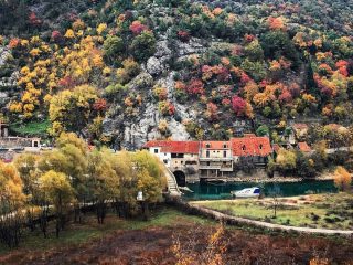 Skadar Gölü